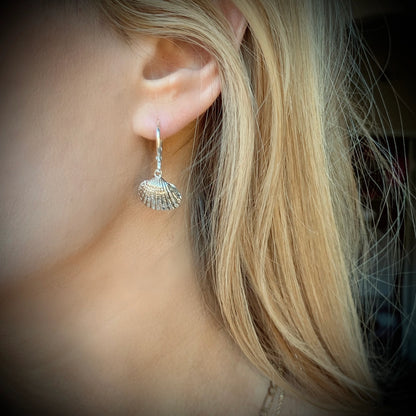 Lagoon Shell Hoops