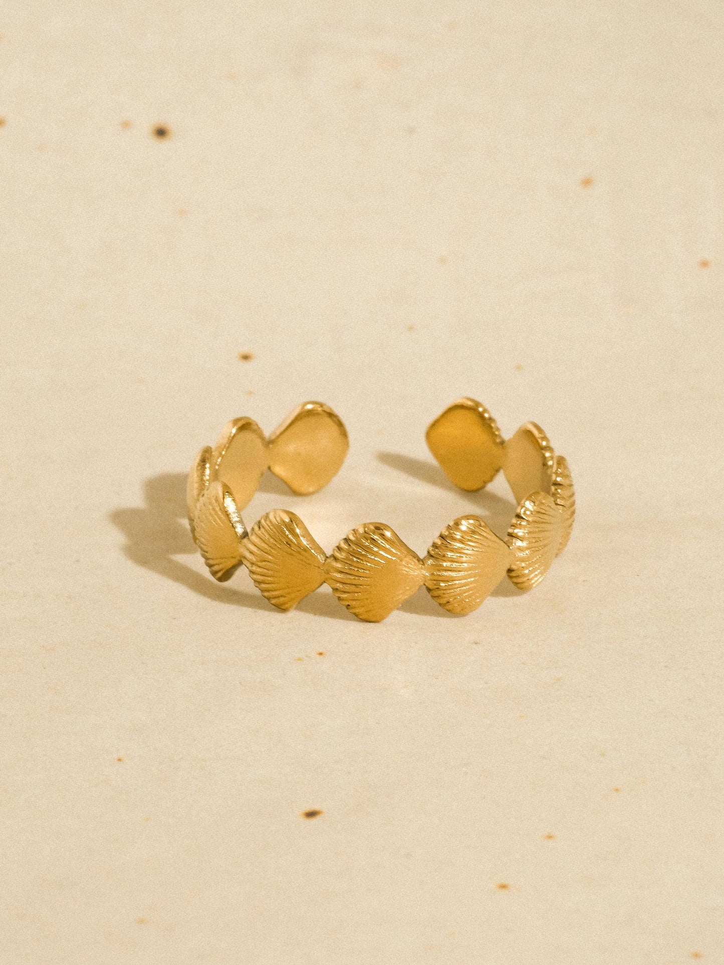 Oceana Shell Band