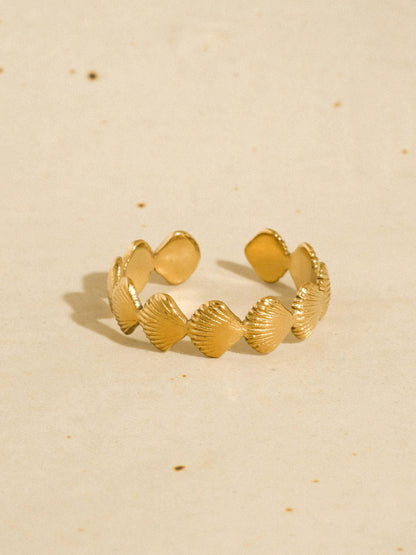 Oceana Shell Band