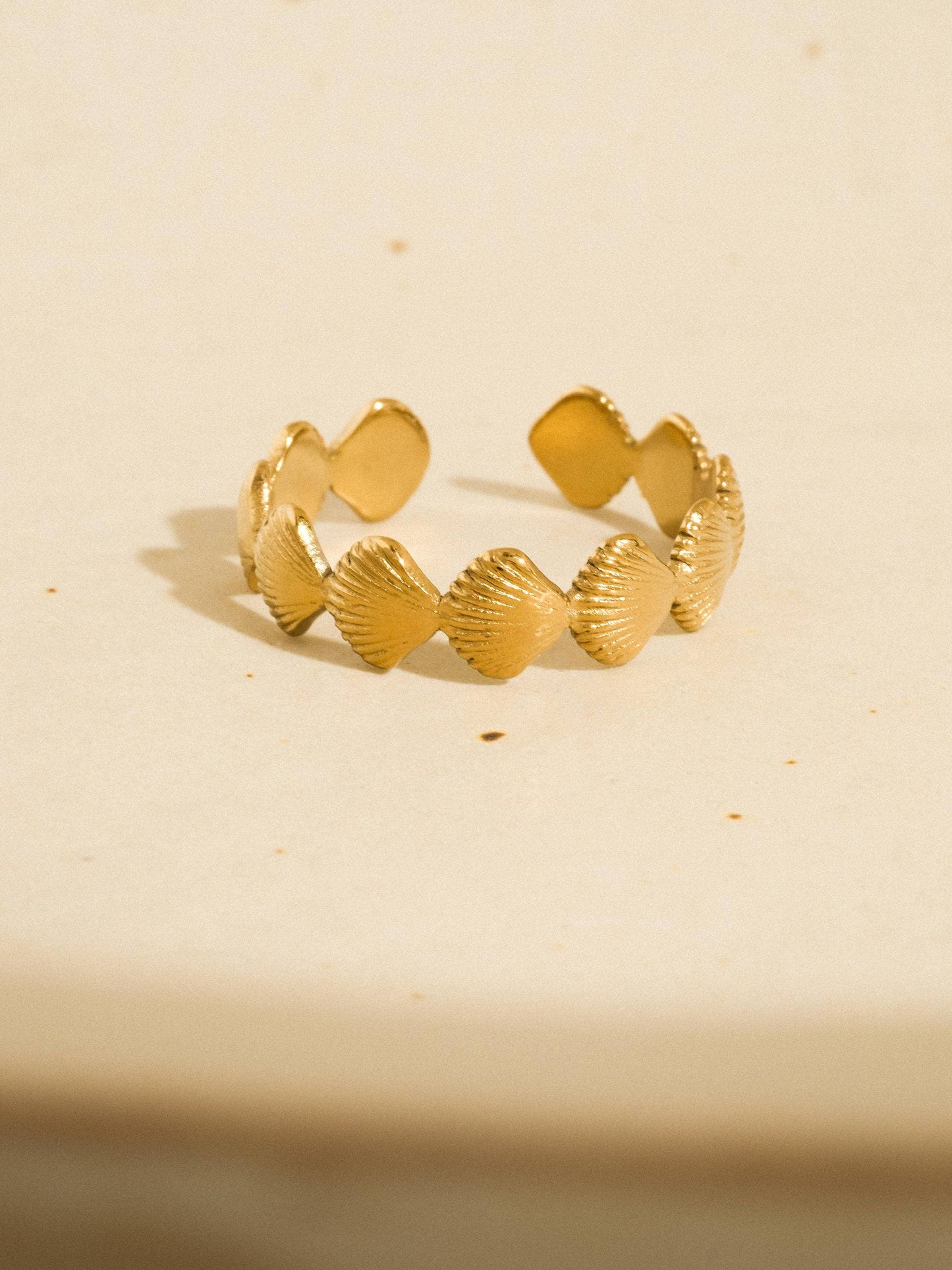 Oceana Shell Band