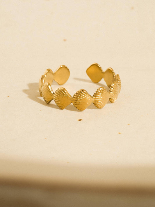 Oceana Shell Band