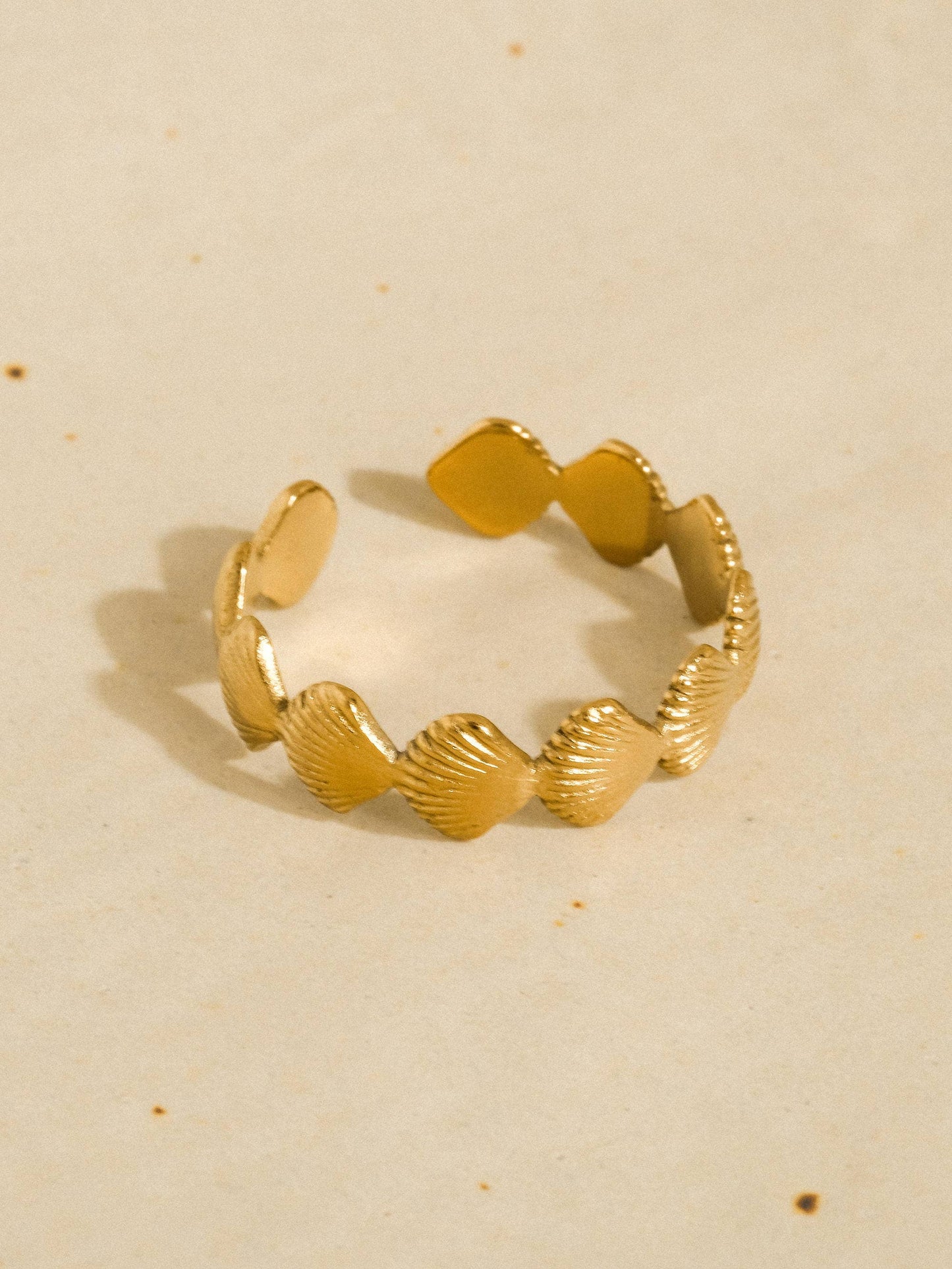 Oceana Shell Band