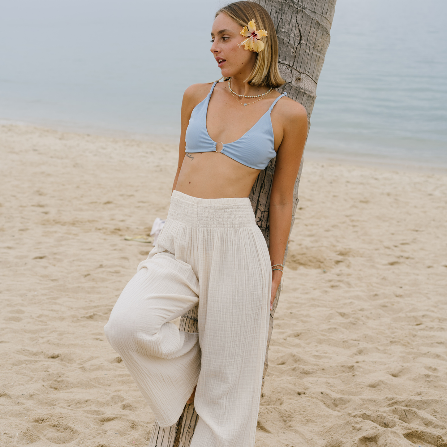 Palm Cabana Cotton Pants